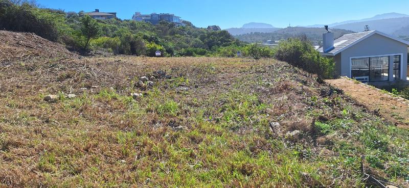 0 Bedroom Property for Sale in Groot Brakrivier Central Western Cape